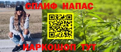 индика Ефремов