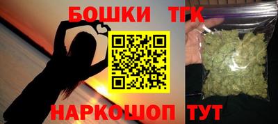 индика Ефремов