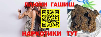 индика Ефремов