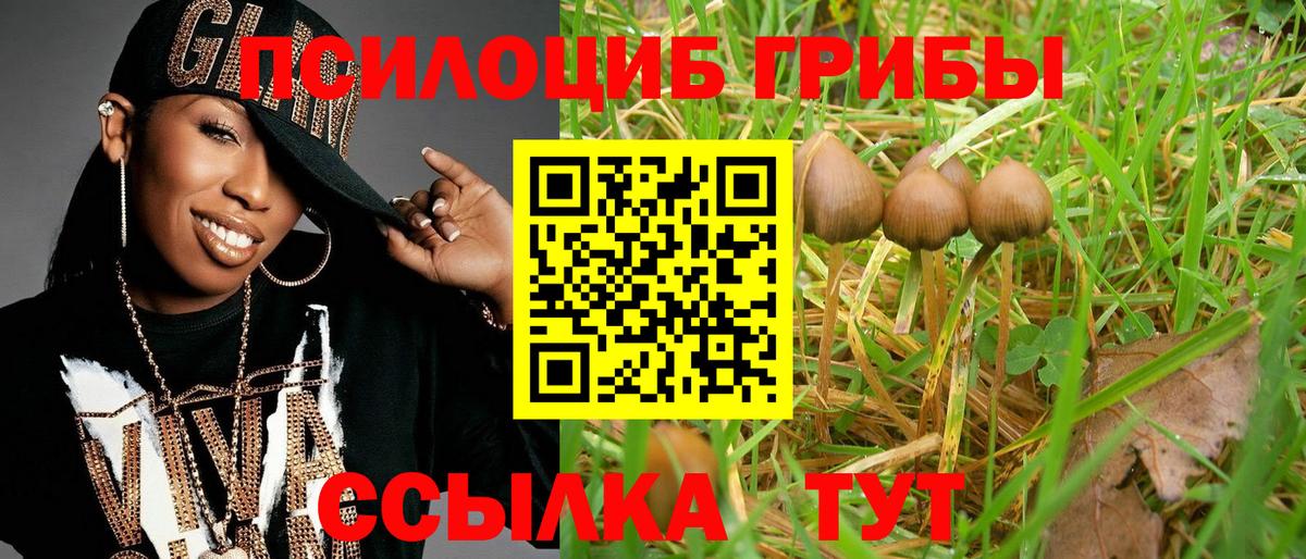 Псилоцибиновые грибы MAGIC MUSHROOMS  Вход с VPN  Петрозаводск 